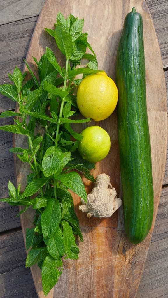 Gurke ist reich an Antioxidanzien