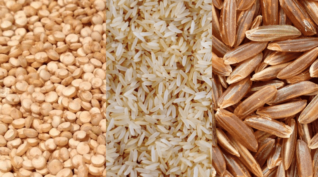 Ein Vergleich zwischen Quinoa, weißem und braunem Reis