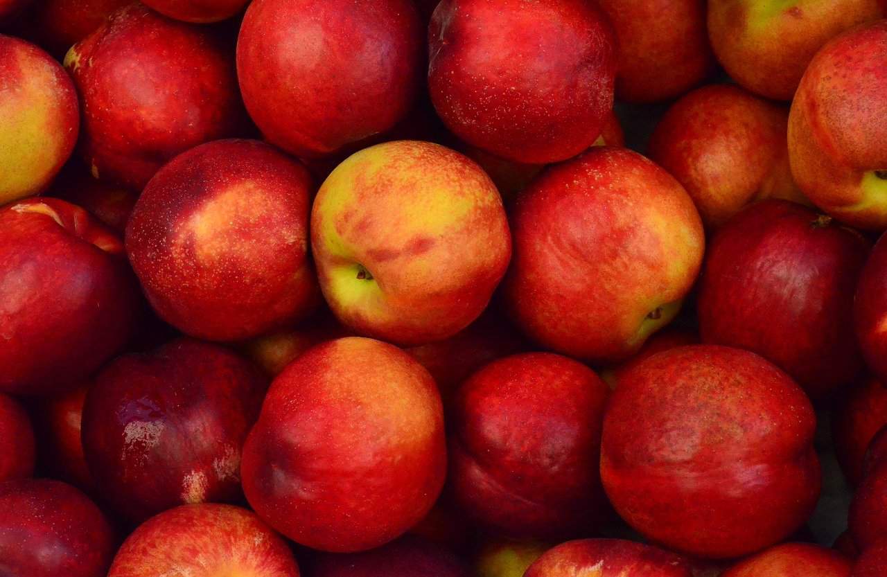 Warum Äpfel gesund sind?