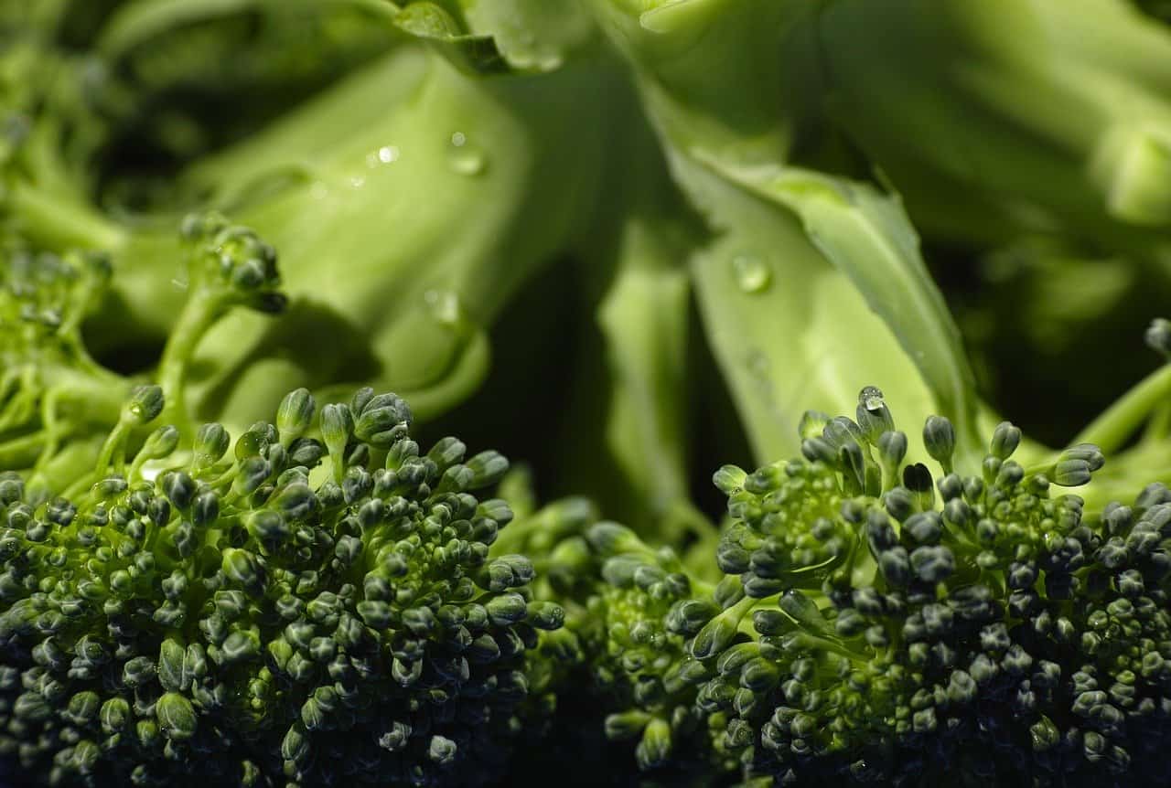Wie lange muss Brokkoli kochen? 3 Methoden Brokkoli zuzubereiten