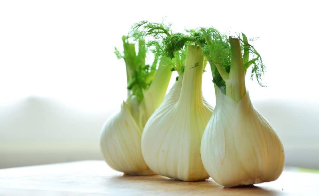 Warum Fenchel gesund ist