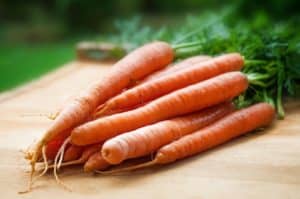 Karotten lagern