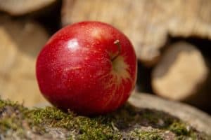 Äpfel als zuckerarmes Obst