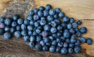 Wenig Zucker in Blaubeeren