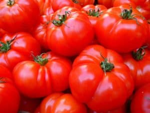 So lagert man Tomaten richtig