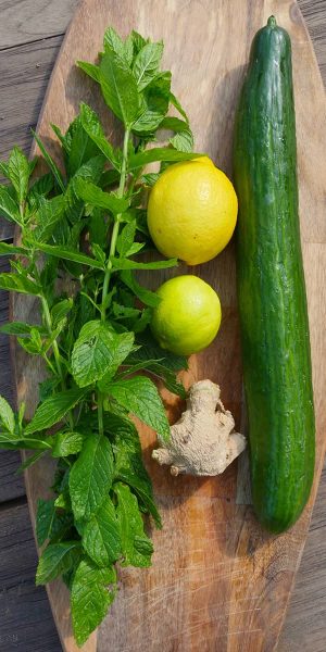 Gurke und Zutaten Gurke ist reich an Antioxidanzien